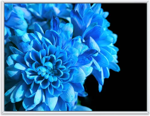 Vista 38 de DesignQ Lienzo enmarcado tradicional con flores silvestres azules con hojas verdes II
