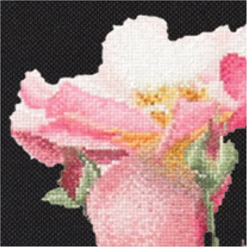 Vista 2 de Thea Gouverneur - Kit de punto de cruz con cuentas - Rosa Leersum - Aida Black - 18 unidades - Kit de bordado para adultos - Hilos de bordado DMC