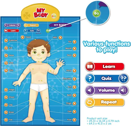 Vista 2 de BEST LEARNING i-Poster My Body - Juguete educativo interactivo para hablar de anatomía humana Aprende partes del cuerpo, órganos, músculos