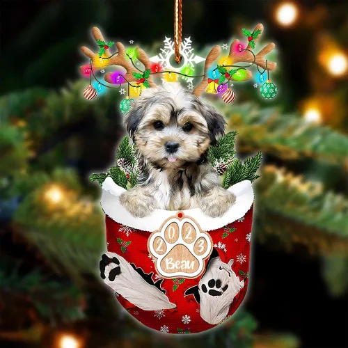 Vista 140 de NAZENTI Adorno Navideño de Bolsillo Personalizado de Affenpinscher en la Nieve, Adorno de Forma Acrílica de Perro, Adorno de Navidad 2023, Adorno