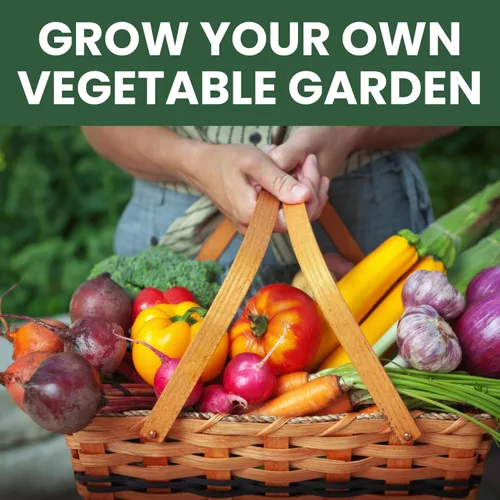 Vista 5 de 20 paquetes de semillas de verduras Paquete variado de supervivencia Temporada 2026 Verduras, hierbas y frutas empaquetadas individualmente