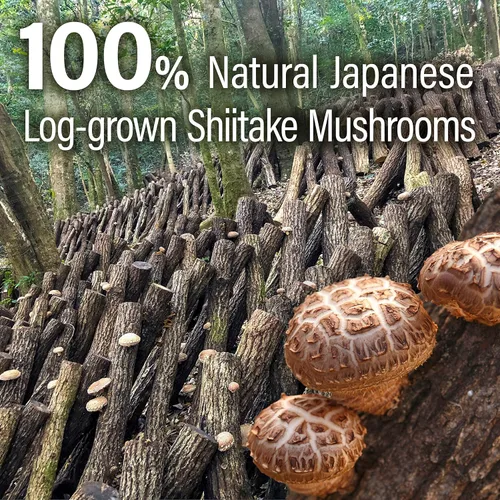 Vista 5 de YAMASAN KYOTO UJI Polvo de umami de hongos shiitake japoneses (1.41 onzas), refuerzo natural de Umami, ingredientes 100% japoneses, sin condimentos