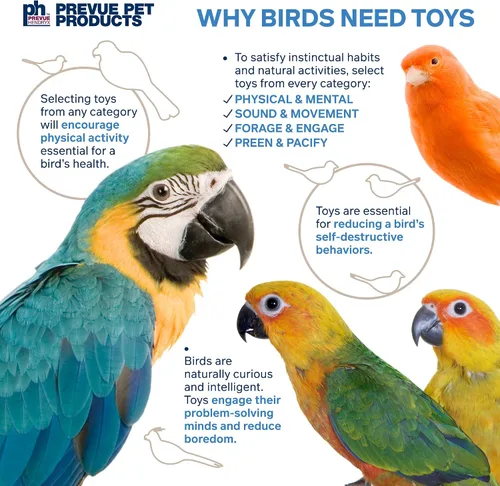Vista 6 de Prevue Pet Products Juguete para pájaros de 3 cajas de juguetes para guardar cosas y ocultar – Accesorios para periquitos, loros, conures, cacatúas