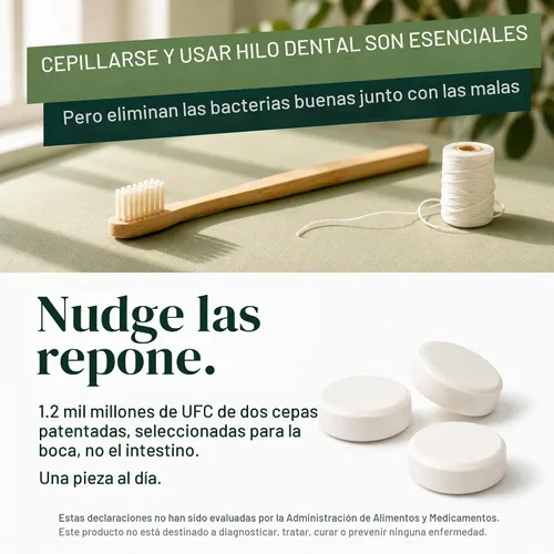 Vista 3 de Nudge Goma de mascar probiótica, menta sin azúcar, soporte para microbioma