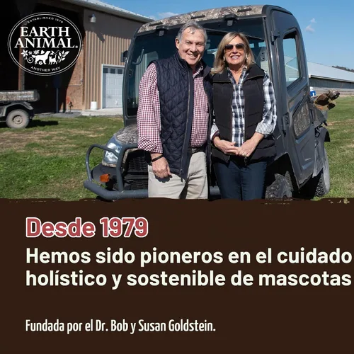 Vista 7 de Earth Animal No Hide Stix - Palitos masticables sin cuero de larga duración para perros pequeños, sabor a carne de res - Paquete de valor de 20