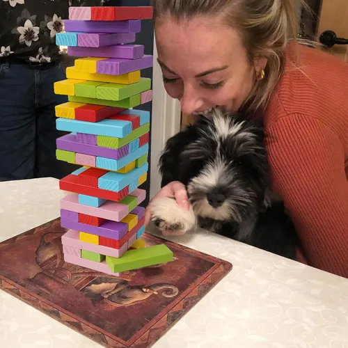 Vista 5 de Gentle Monster Juegos de mesa apilables coloridos de madera, bloques de construcción para niños y niñas, 54 bloques de equilibrio de madera, juguete