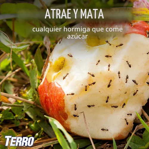 Vista 7 de TERRO T1812SR - Estacas líquidas para cebo para hormigas para exteriores, paquete de 2