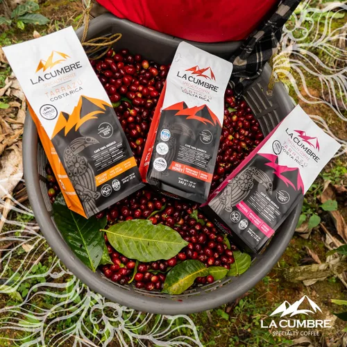 Vista 5 de La Cumbre Specialty Coffee molido tostado medio, granos arábica, bajo en ácido, gourmet, vegano, apto para Kosher y Keto, paquete variado de 12