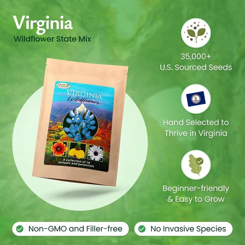 Vista 2 de Mezcla de semillas de flores silvestres de Virginia: más de 35,000 semillas