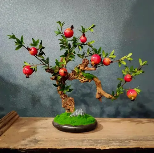 Vista 7 de 60 Semillas de Granada Semillas de Frutos Rojos Punica Granatum Bonsai Megranate