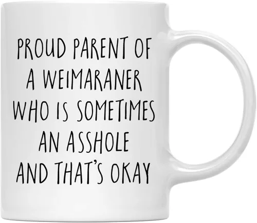 Vista 82 de Andaz Press Funny Dog - Taza de café de 11 onzas, regalo de broma, orgulloso padre de un afenpinscher que es a veces un gilipollas y eso está bien