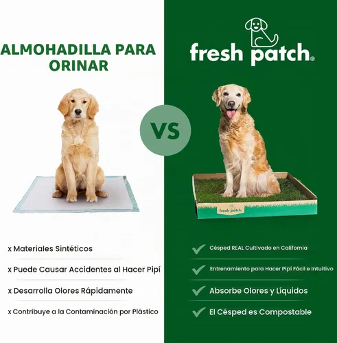 Vista 5 de Fresh Patch Mini parche de césped real para perros, gatos y mascotas pequeñas de menos de 8 libras, almohadillas desechables para orinar