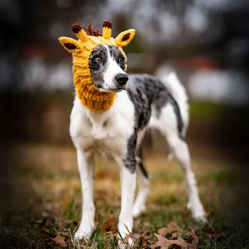Vista 8 de Zoo Snoods Vestido de Jirafa - Redecilla tejida para perros con cubreorejas para mascotas, cubierta cálida para el cuello para Halloween e invierno