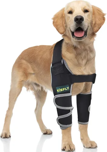 Vista 21 de Codera para perros gigantes, soporte para hombros y articulaciones para adultos mayores Diseñado para razas gigantes que necesitan apoyo adicional