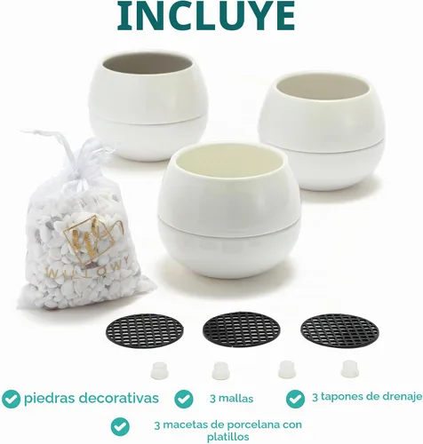 Vista 3 de Willowy Macetas pequeñas para suculentas de 3.5 pulgadas, paquete de 3, macetas pequeñas de cerámica blanca para suculentas, no incluye plantas