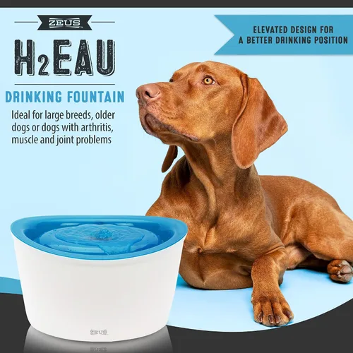 Vista 3 de Fuente de agua para perros, diseño fresco y claro, de Dogit, Blanco