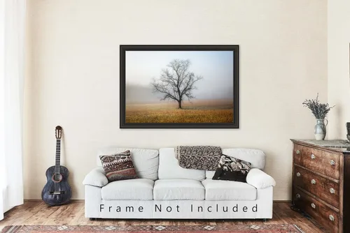 Vista 5 de Impresión de fotografía de naturaleza (no enmarcada), imagen de árbol envuelto en la niebla en la mañana de otoño en grandes montañas ahumadas