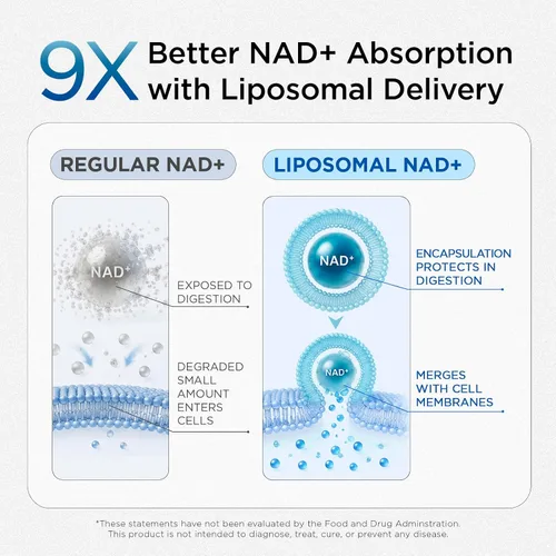 Vista 8 de Selerb Suplementos NAD+ para hombres y mujeres
