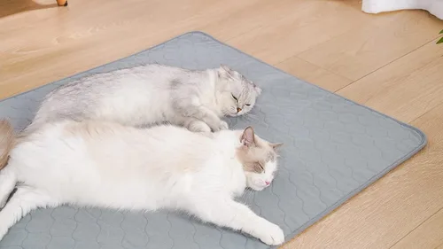 Vista 9 de Almohadillas lavables para orina de perro, acolchadas y reutilizables para perros, almohadillas de parto para cama de perro, alfombrillas