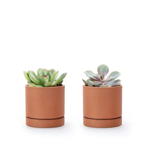 Vista 13 de D'vine Dev Maceta de Terracota Extra Pequeña de 4 Pulgadas con Orificio de Drenaje y Platillo, Maceta Cilíndrica Redonda para Plantas