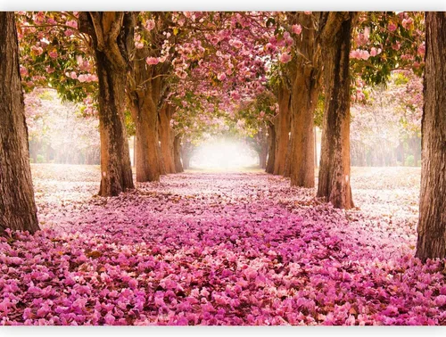 Vista 12 de artgeist Mural de pared Paisaje de la naturaleza, 77 x 55 pulgadas, papel tapiz autoadhesivo, extraíble, gran adhesivo, decoración de pared, diseño