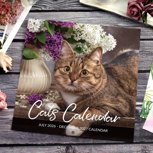 Vista 9 de Calendario 2026-2027 – Calendario de pared 2026-2027, julio de 2026 a diciembre de 2027, 12 x 24 pulgadas (abierto), calendario de gato de 18 meses
