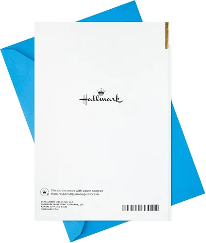 Vista 8 de Hallmark Tarjeta de cumpleaños para hombre (Barbacoa) (5RZB2036)