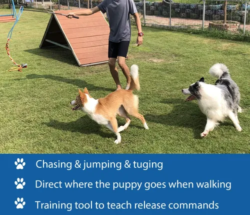 Vista 3 de Juguete interactivo de poste de coqueteo para perros, persecución y tira y afloja, varita teaser duradera con cuerda de forro polar para mascotas