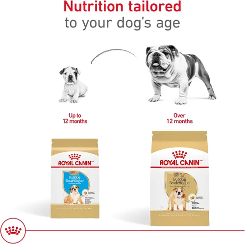 Vista 7 de ROYAL CANIN NUTRICIÓN SANA PARA RAZA bulldog cachorro, alimento seco para perro