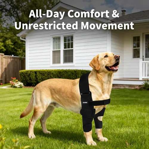 Vista 6 de Protector de codo para perro con correa de pecho desacoplada, transpirable, resistente a la abrasión, soporte de codo ajustable para higroma
