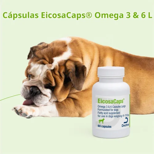 Vista 5 de Omega 3 y 6 cápsulas para perros, 60