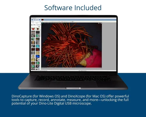 Vista 5 de EOL Dino-Lite AM4113TL-M40-1.3MP, 10x - 40x, Microtouch, Medición, LWD