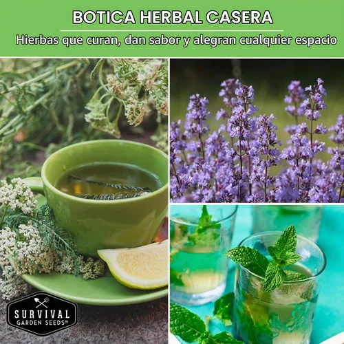 Vista 4 de Semillas de hierbas para té medicinal para sembrar Paquete de 9 variedades de hierbas autóctonas, sin OMG – Cultive tés herbales, remedios