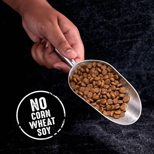 Vista 8 de Crave Comida con proteína para perros, libre de granos, adulto