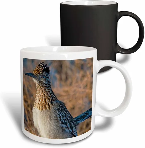 Vista 12 de 3dRose Roadrunner bird, Bosque del apache NWR, Nuevo México - US32 CHA0044 - Chuck Haney - Taza negra de dos tonos de 11 oz Negro