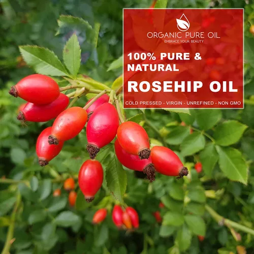Vista 4 de Aceite de rosa mosqueta – 32 oz – 100% puro, sin refinar, prensado en frío, crudo, sin filtrar, virgen para piel, cabello, uñas, cuerpo y cara
