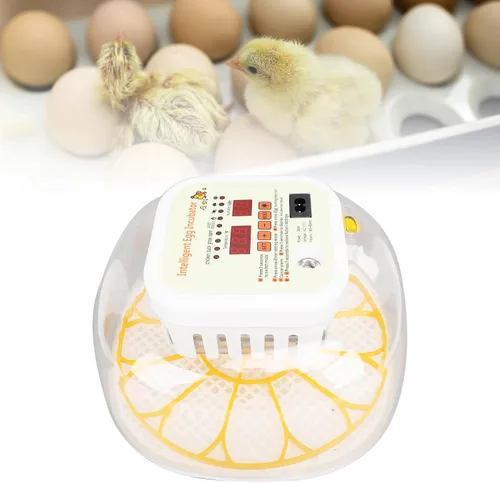 Vista 5 de Incubadora automática de 12 huevos con control de humedad con girador de huevos, incubadora ventilada para eclosionar huevos de pollo y codorniz, US