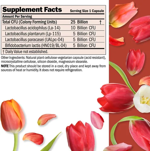 Vista 2 de ANDREW LESSMAN Ultimate Friendly Flora Probiotic 30 cápsulas – 25 mil millones de UFC, mezcla completa de cinco cepas probióticas, potente apoyo