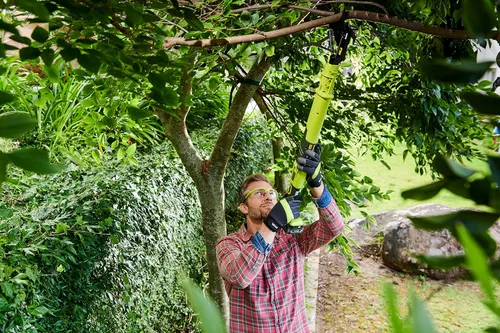 Vista 5 de Ryobi OLP1832BX 18 V ONE+ Podador inalámbrico de 0.75 m (solo el cuerpo)