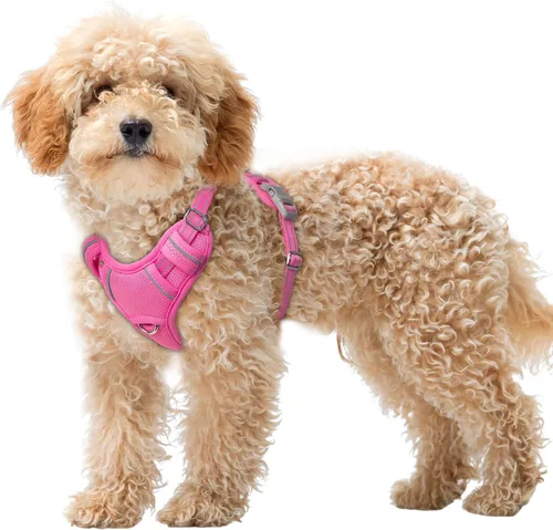 Vista 67 de BARKBAY Arnés para Perro Sin Tirones Talla Grande Arnés Reflectante para Perro con Clip Frontal y Asa de Control Fácil para Caminar Entrenar Correr