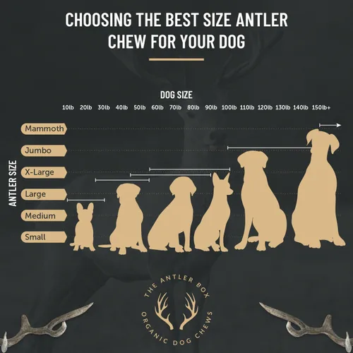 Vista 2 de The Antler Box - Masticables prémium para perros con cuernos de ciervo (paquete a granel de 1 libra) (pequeño de 7 a 8 cuernos/libra)