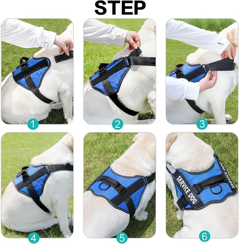 Vista 3 de Juego de correa de arnés para perro personalizado sin tirones con número de teléfono con nombre personalizado Reflective Breathable Heavy Duty