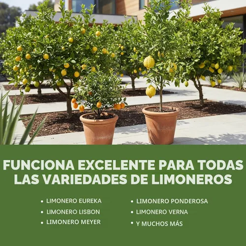 Vista 5 de Abono para Árbol de Limón, Alimento Completo para Plantas de Árbol de Limón, 8 oz (250mL) Promotes Fruit Production, For Meyer & Dwarf Varieties
