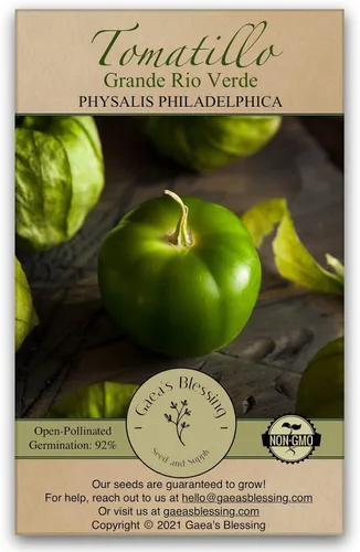 Vista 10 de Gaea's Blessing Semillas – Semillas de tomatillo – Semillas de reliquia sin OMG con instrucciones de siembra fáciles de seguir – Polinizadas La tía