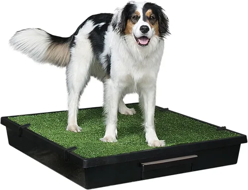 Vista 8 de PetSafe baño para mascotas portable., S, Negro Gass Mat Toilet Alternative for Puppy Pads, Perfect for House Training and Small Spaces, Less Odor