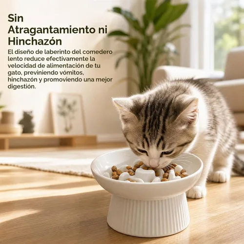 Vista 2 de Cuenco elevado de cerámica para gatos, comedero lento para gatos, antivómitos y asfixia, comedero lento en forma de corazón elevado para alimentos