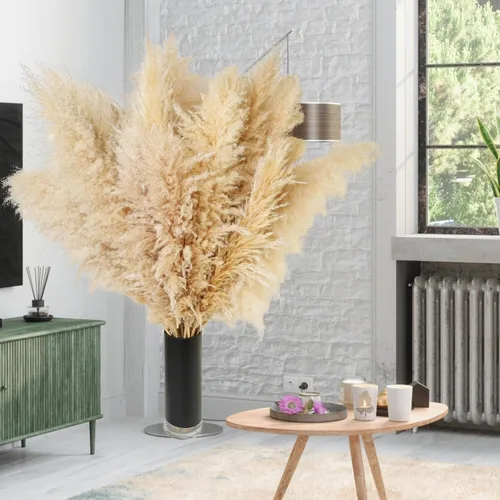 Vista 5 de 10 tallos de hierba de las pampas de 40 pulgadas de alto en color beige natural, añade un toque bohemio a tu espacio: hierba de las pampas ideal
