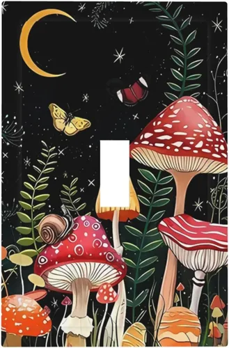Vista 116 de Mid Century Morden Boho - Placa de pared para interruptor de luz dúplex de 1 banda, placa frontal decorativa eléctrica para receptáculo para baño