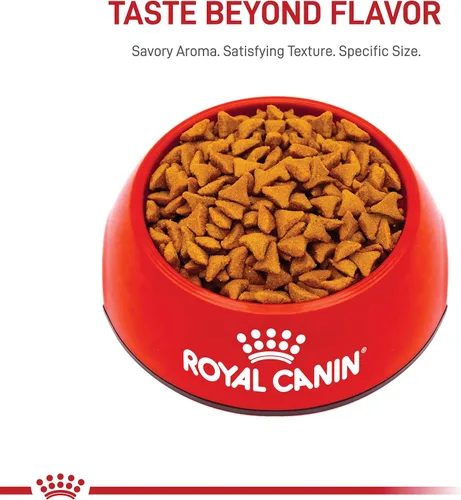 Vista 11 de Royal Canin Feline Care Nutrition Hairball Care Alimento seco para gatos adultos, bolsa de 3 libras