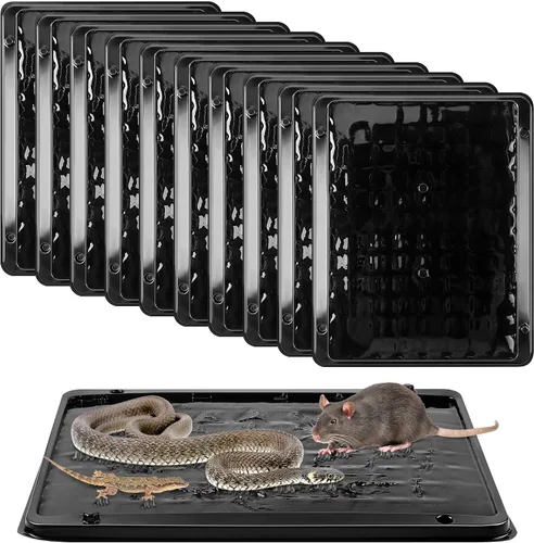 Vista 9 de Qualirey - Paquete de 8 trampas grandes de pegamento para ratas y ratones, 11.8 X 9.84 pulgadas, trampas grandes y resistentes para ratones